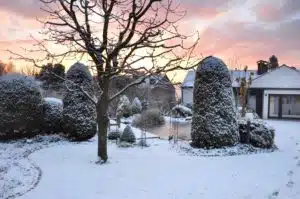 a snowy garden with a pink sunset in the background