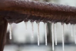 icicles on a branch