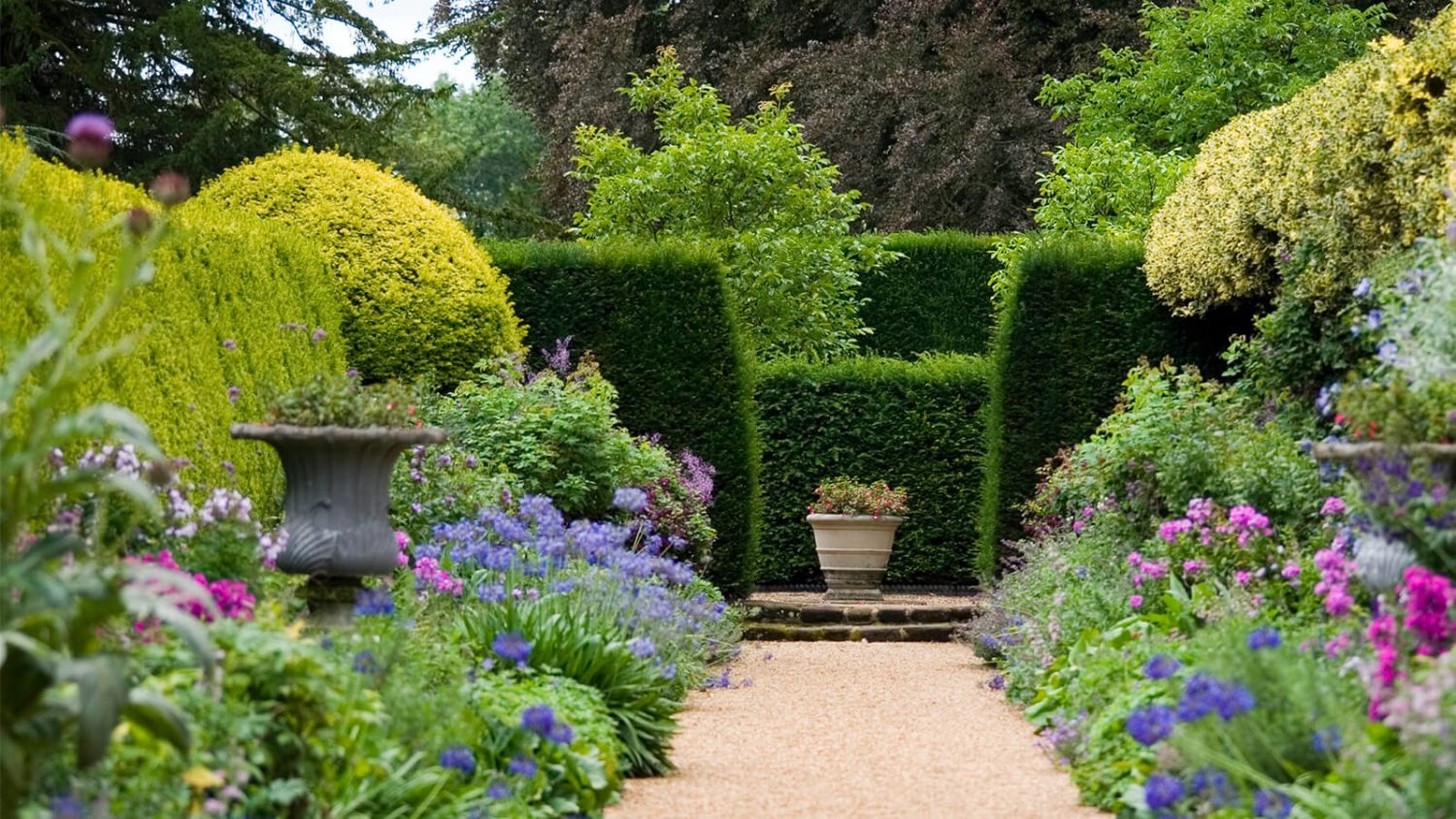 The UK's Leading Garden Hedging & Hedging Specialists | Hopes Grove ...