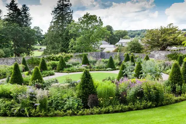 YEW TOPIARY CONES INTERSPERSED THROUGH FLOWER BEDS